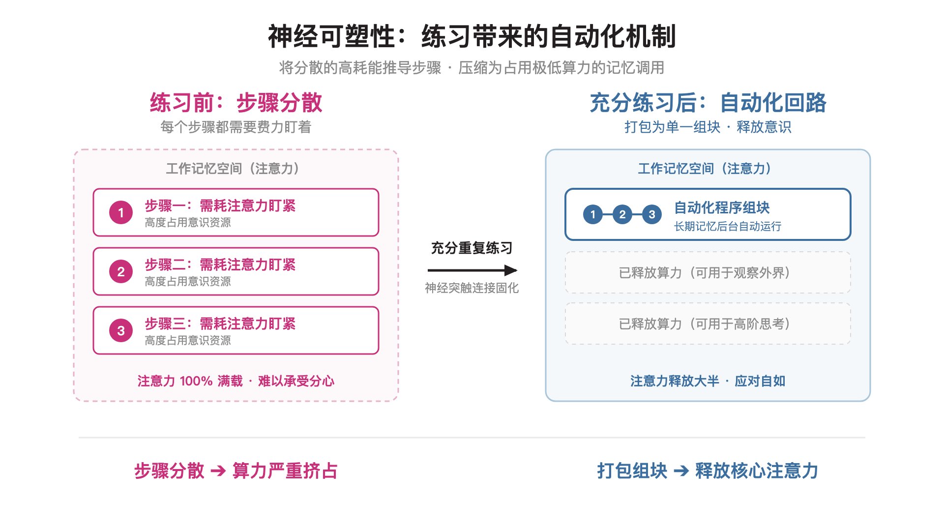 练习前(离散步骤挤占意识) vs 充分练习后(回路固化释放意识)